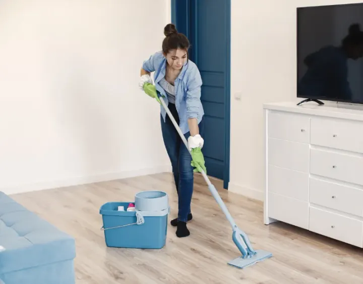 Femme de ménage Villers-Bocage